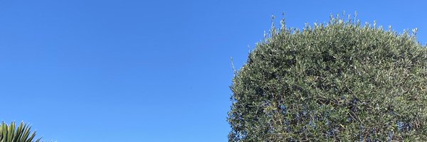 Doarutkay Profile Banner