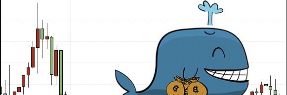 whale_to_be's profile banner image