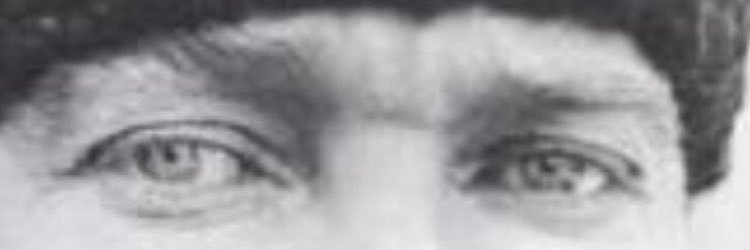 mywolfsson's profile banner image