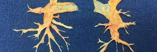 DrTimFernandes Profile Banner