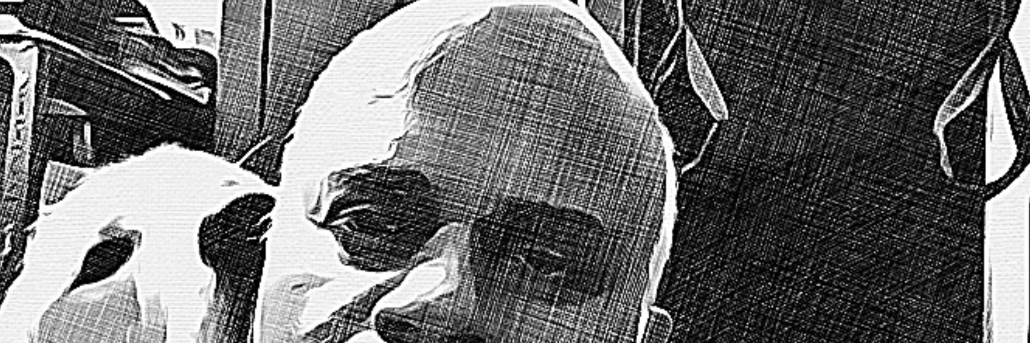 truesuneelpr's profile banner image