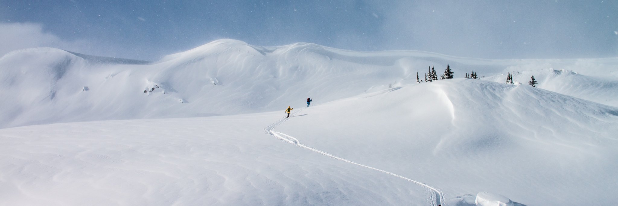BenjaminBolland's profile banner image
