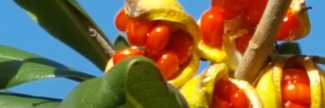 AGUEDAMARIAIDA's profile banner image