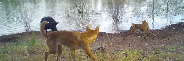 eamonn_wooster Profile Banner