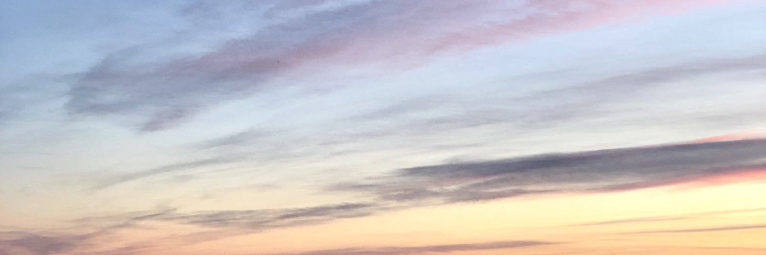 Swezil_'s profile banner image