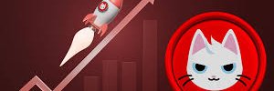 PEDRO I.T 🤑 banner