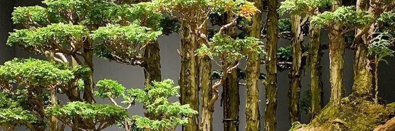 Jen 🍜 banner