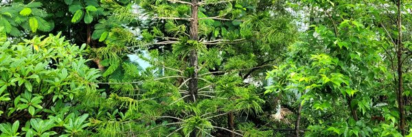 searchpow Profile Banner