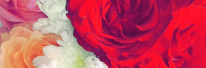 hamda banner