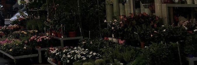 bi banner