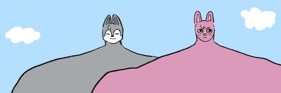Don Danuki banner
