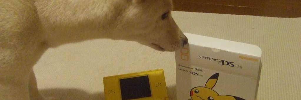camel_filter's profile banner image