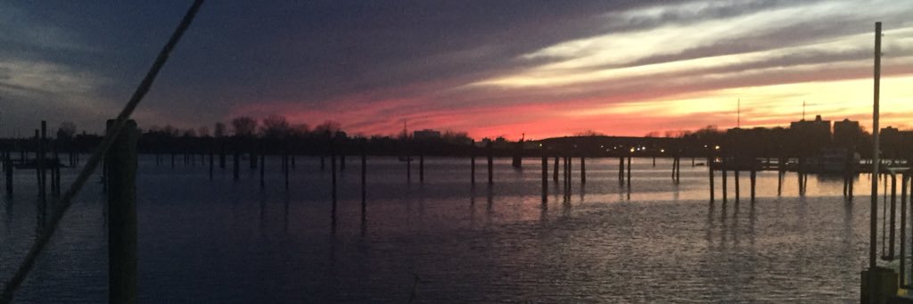 amarierx3's profile banner image