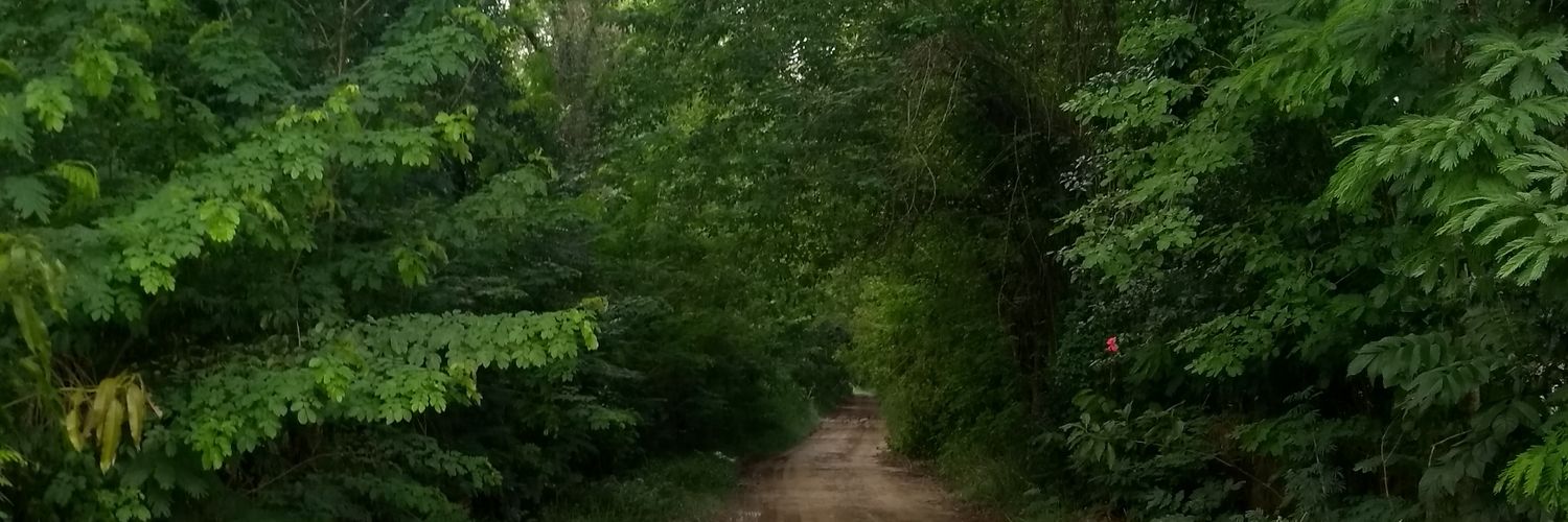 newtonwagner's profile banner image