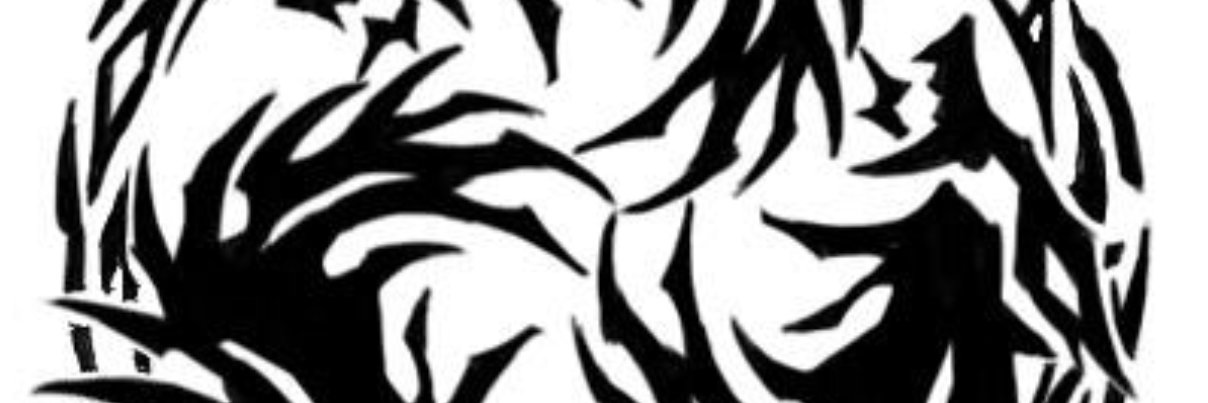 naqi banner
