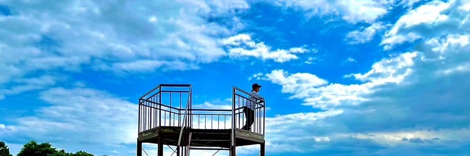 momiushi's profile banner image