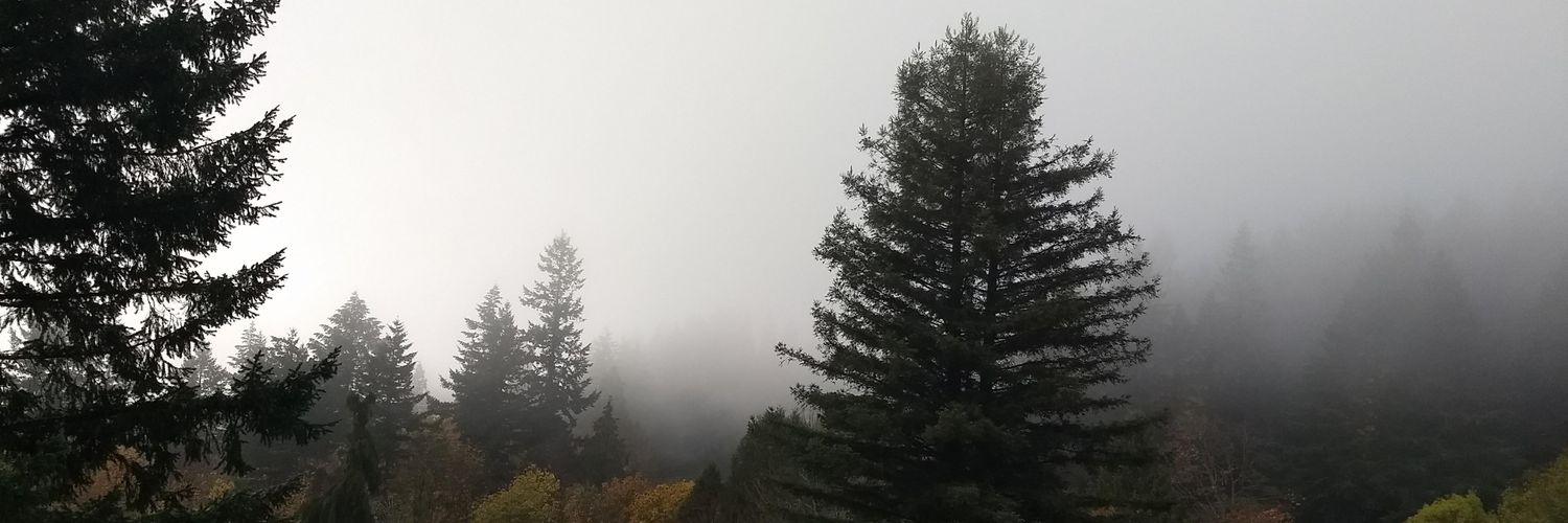 ScarceSam's profile banner image