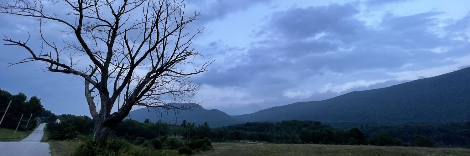 temashana's profile banner image