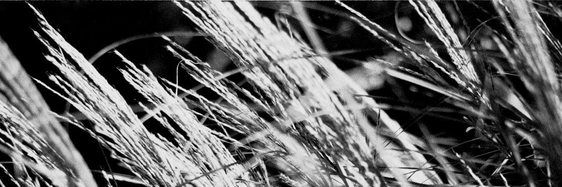 CaseyBloomquist's profile banner image