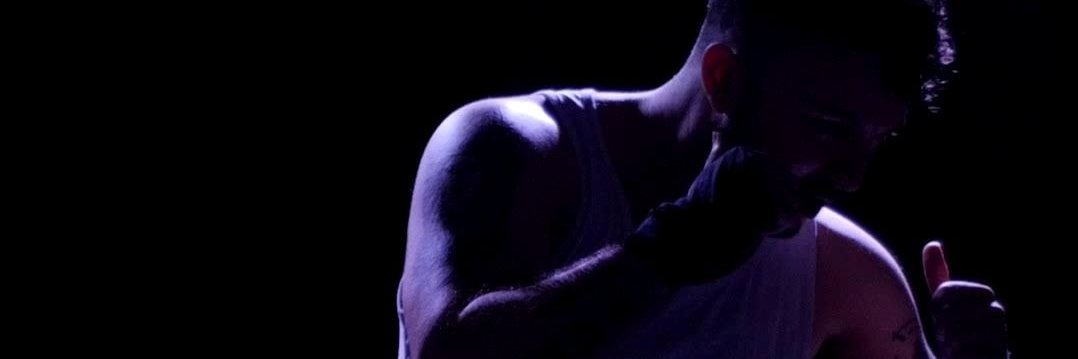 Bolo Boston *Blue tick* banner