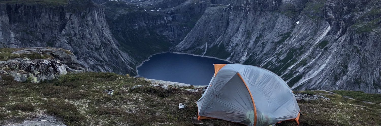 Danielle Scroggs banner