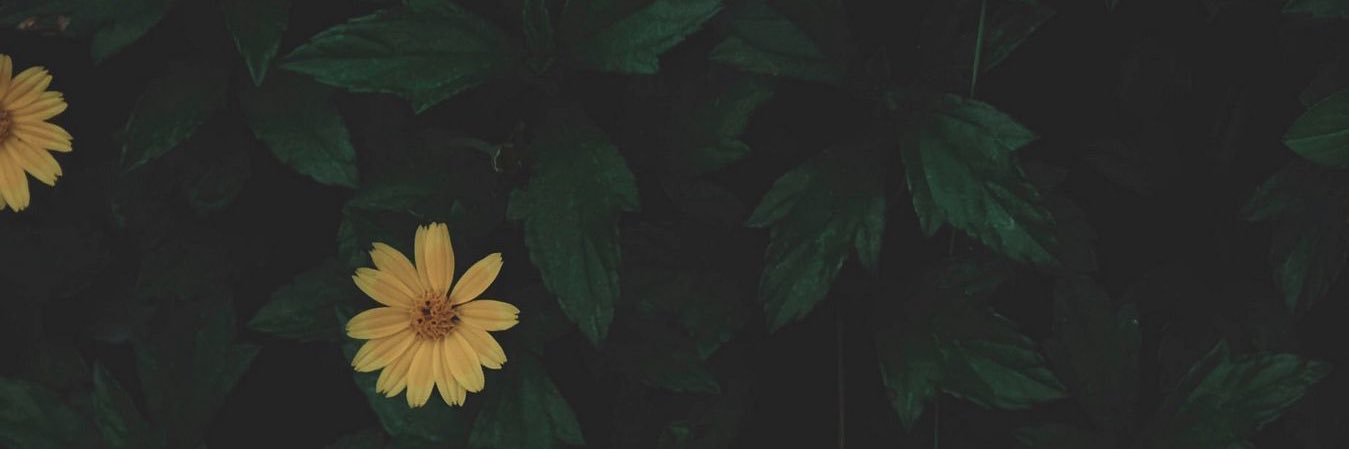 Sughraaa's profile banner image