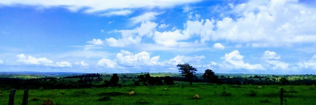Lorrann08036244's profile banner image