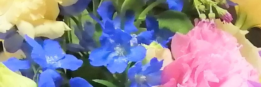 yapi55's profile banner image
