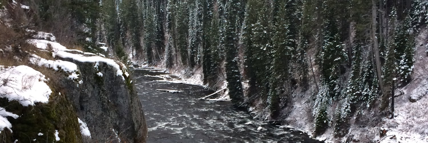 darbibragg's profile banner image