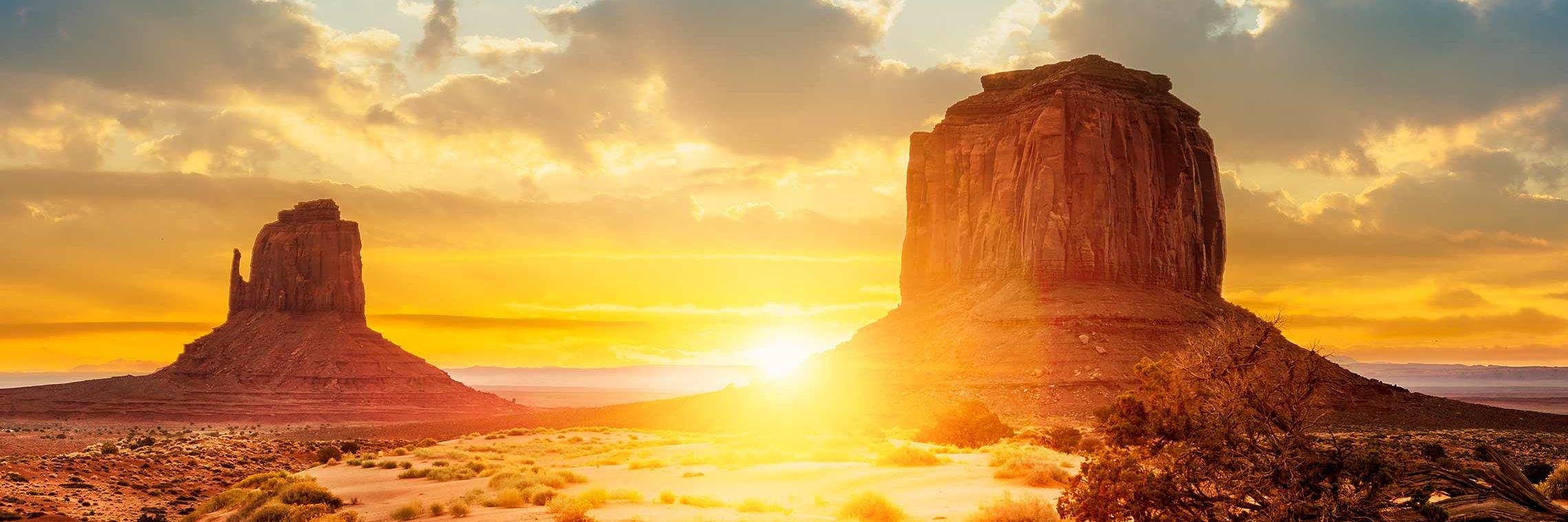 Sebastian Schepis banner