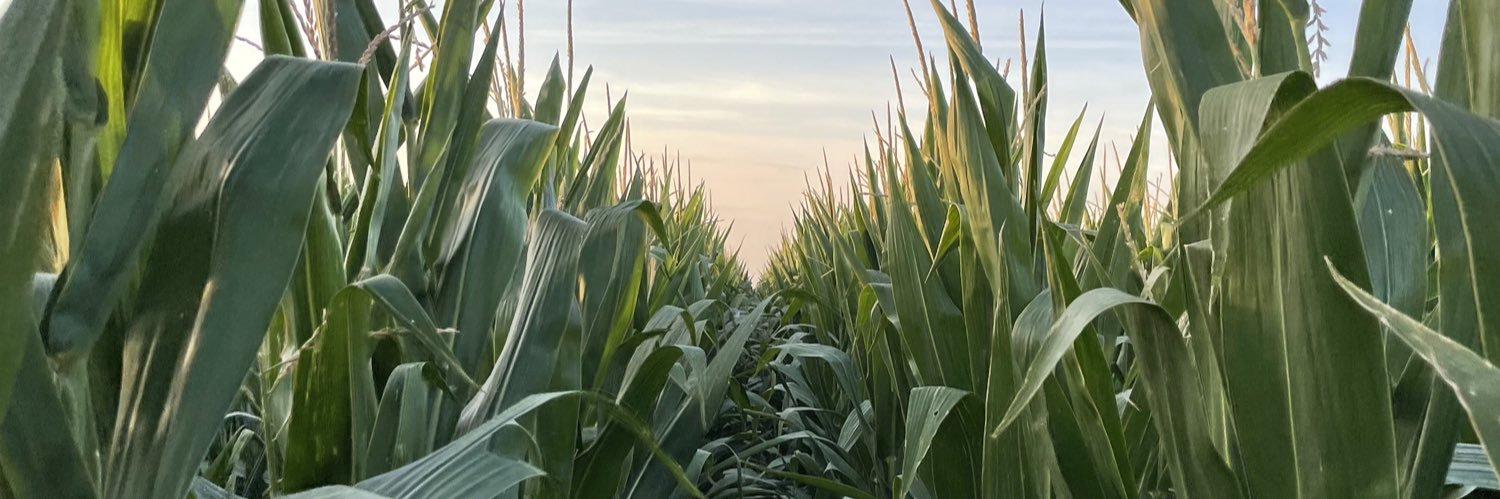 DylanLindeman10's profile banner image