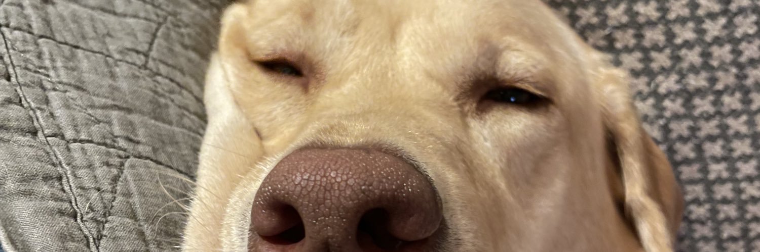 JakeMcGee33's profile banner image