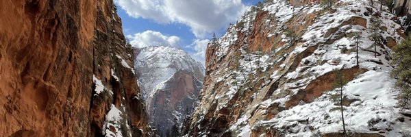 megnewman_3 Profile Banner