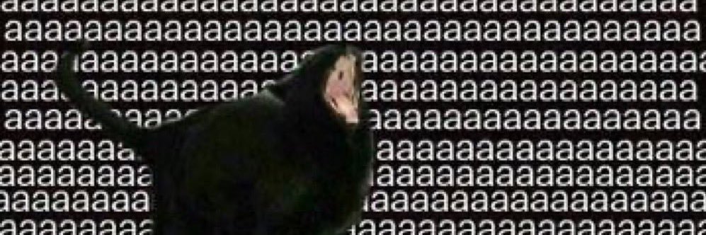 ToryMazza's profile banner image