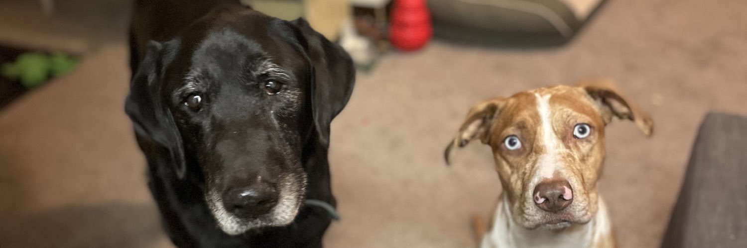 haleybridges's profile banner image