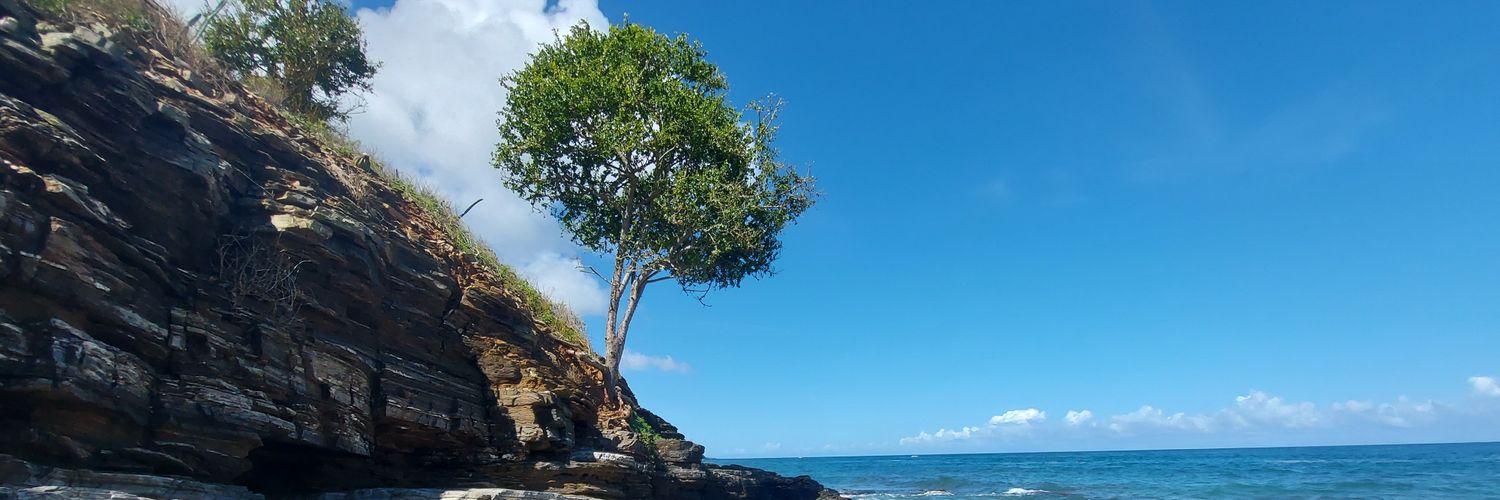 Ernesto Da Rocha banner