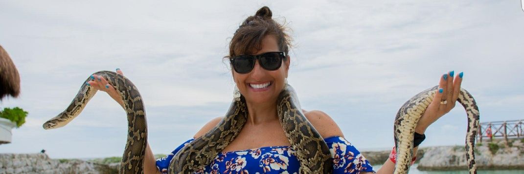 DonnaFilippone's profile banner image