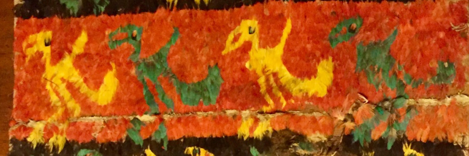 PalmaCanny's profile banner image