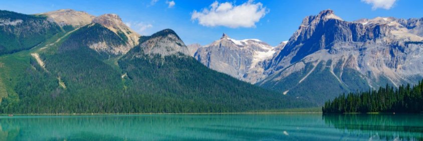 hector gonzalez banner