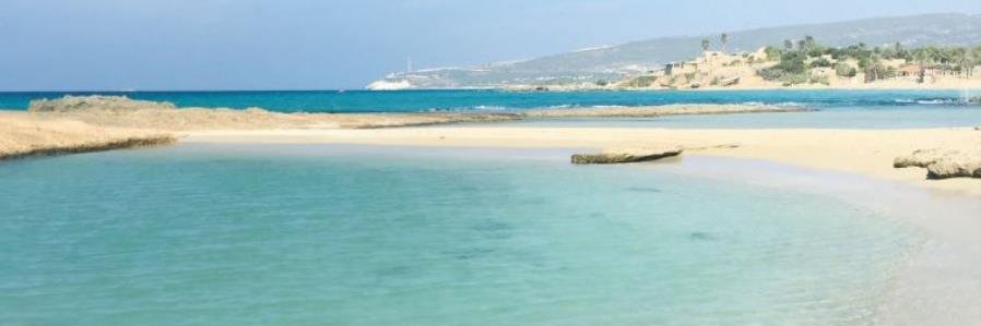 Greg Kelman, MD, FACP banner