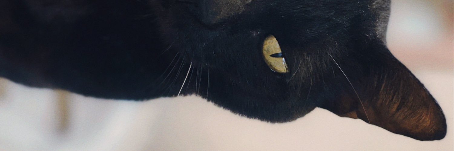 lagossti's profile banner image