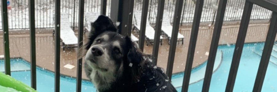 Chris__Wagner's profile banner image