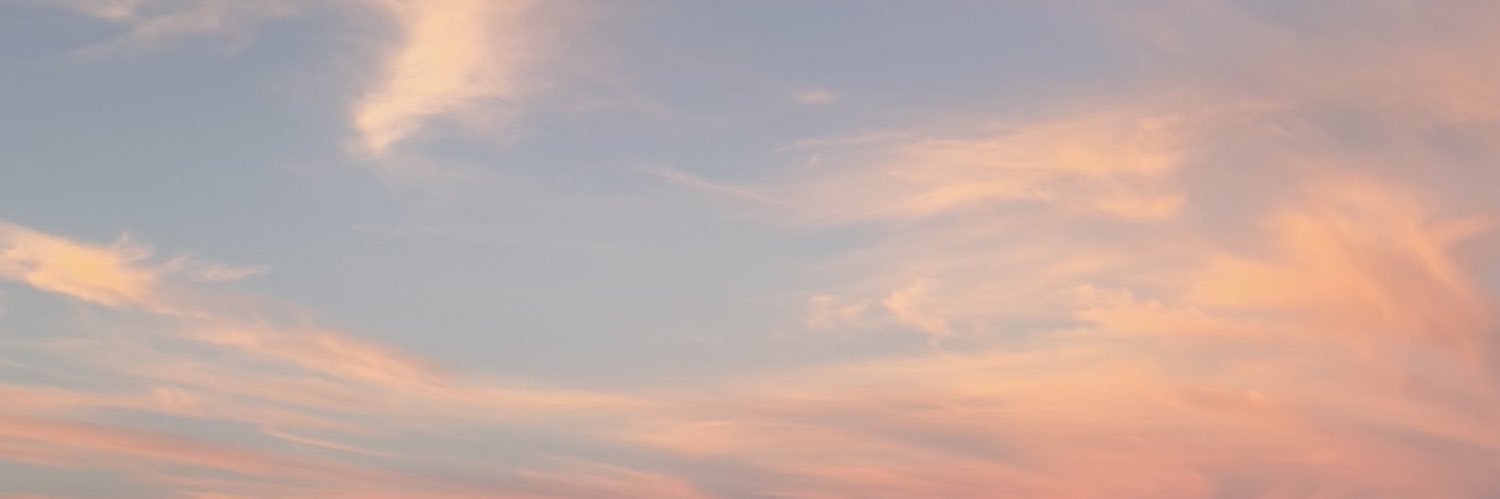 alex banner