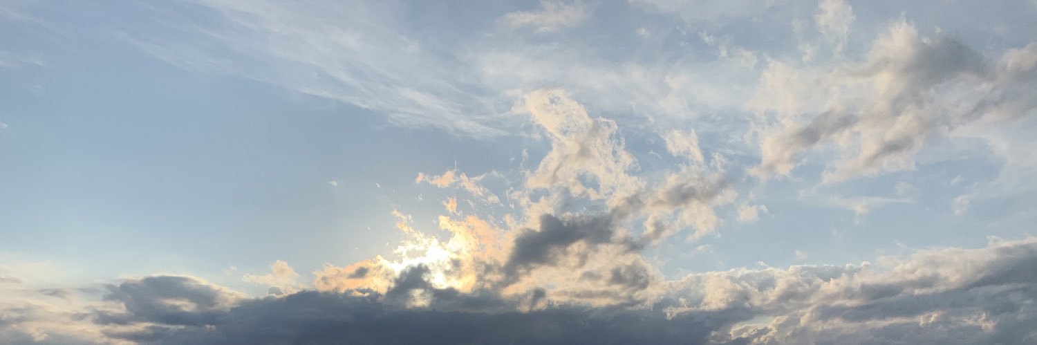 madswill_'s profile banner image
