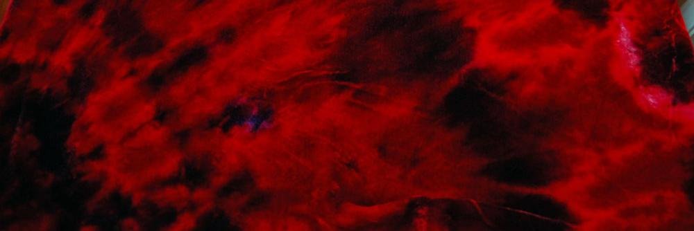 AnLiNaDesigns's profile banner image