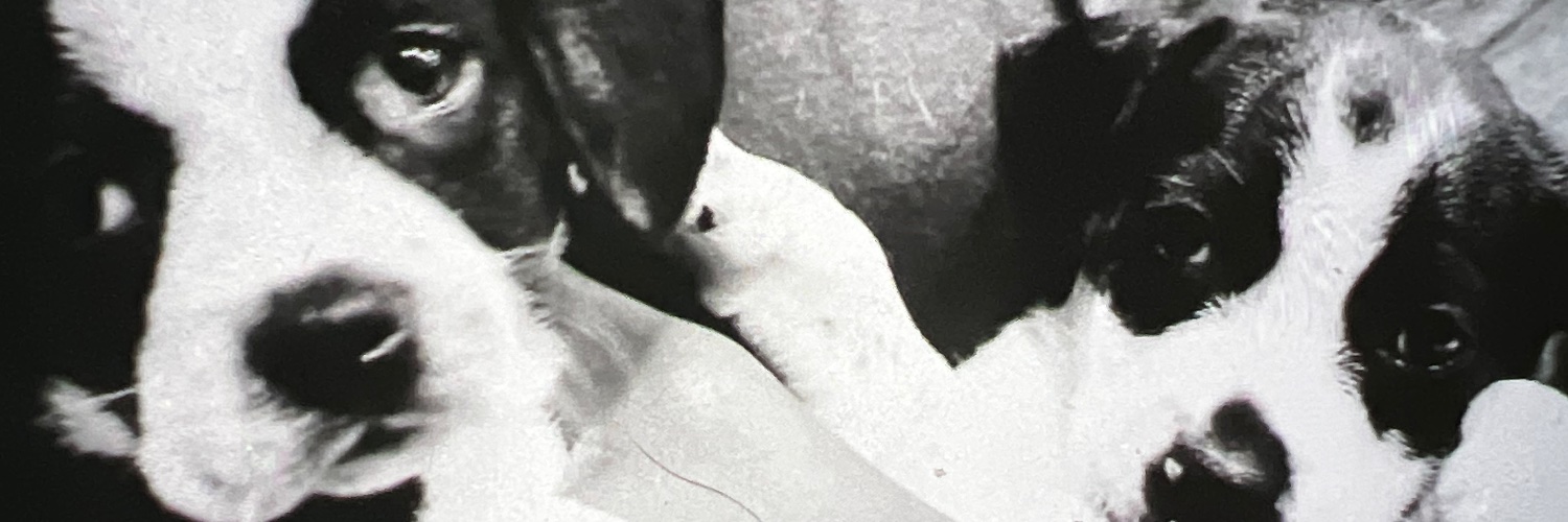 BodyByBell's profile banner image