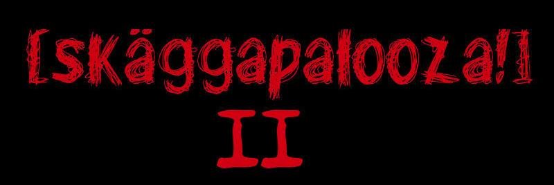 Skaggkast's profile banner image