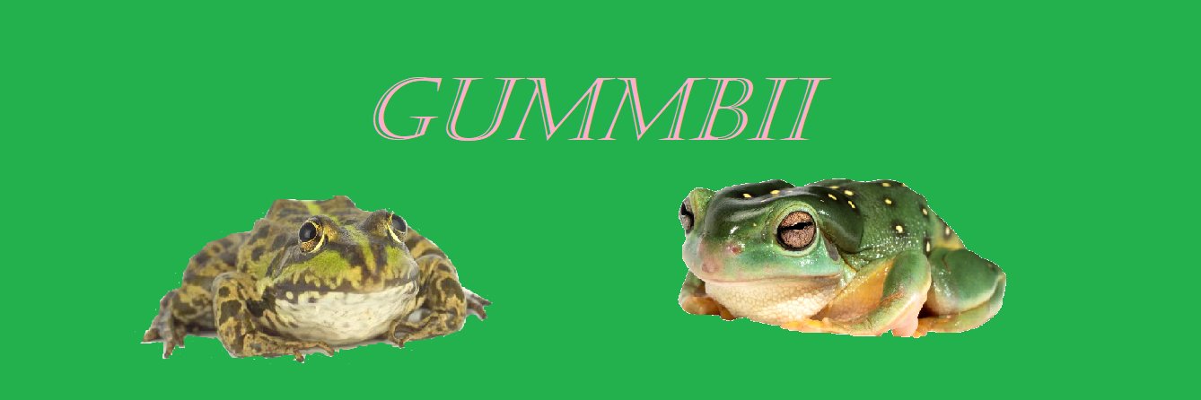 Gummbii 🐸 banner