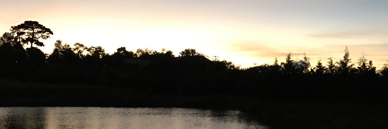 hectorbdez's profile banner image