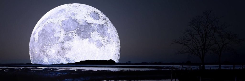 MoonGurL4's profile banner image